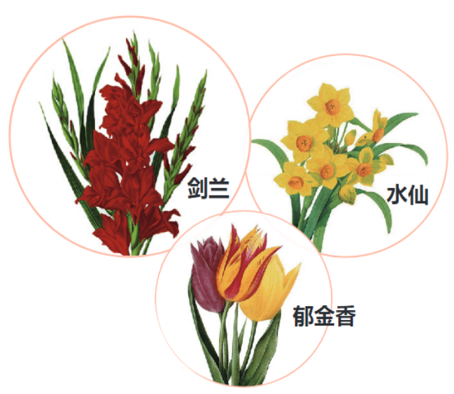 5. 供奉菩薩须知 | 供花(图2) 5. 供奉菩薩须知 | 供花(图2)