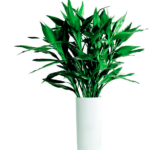 5. 供奉菩薩须知 | 供花(图4) 5. 供奉菩薩须知 | 供花(图4)